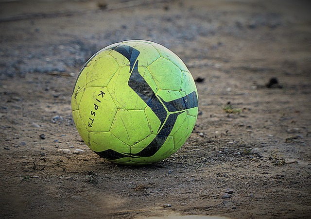 杏彩体育APP：瑞士羽毛球公开赛：国羽4金2银收官中国新闻网.